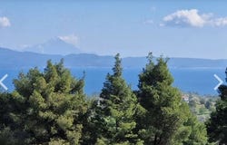Paliouri, Central Macedonia 63085