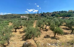 Ano Riglia, Peloponnese 24024