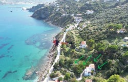 Skopelos, Thessaly 37003