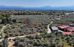 Servanates, Thessaly 38500