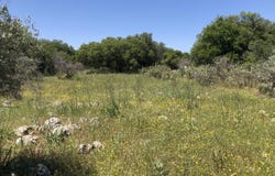 Kambia, Crete 73008