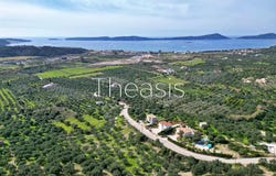 Gialova, Peloponnese 24001