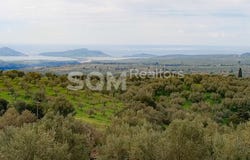 Chiliochoria, Peloponnese, Western Greece and the Ionian Pilos Nestor 240 01, Greece