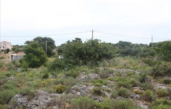 Kampani, Crete 73133
