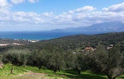Agios Nikolaos, Lasithi 72100