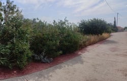 Lampi, Crete Island 740 53