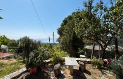 Milies, Thessaly 37010