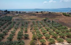 Agkeria, South Aegean 84400