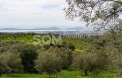 Chiliochoria, Peloponnese, Western Greece and the Ionian Pilos Nestor 240 01, Greece