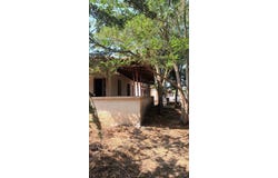 Filiatra, Peloponnese, Western Greece and the Ionian 24500
