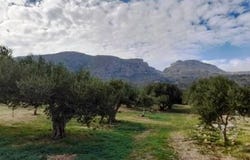 Zakros, Kríti 723 00