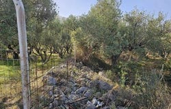 Agios Nikolaos, Lasithi 72400