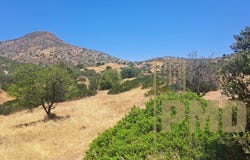 Koropi, Attica (region) 190 01