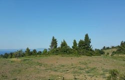 Kassandra, Chalkidiki 63077