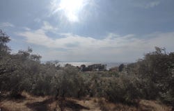 Milies, Thessaly 37010