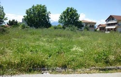 Katerini, Pieria Prefecture 60150