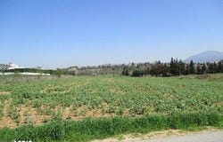 Agia Zoni, Central Macedonia 57001