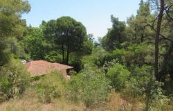 Sithonia, Chalkidiki 63078