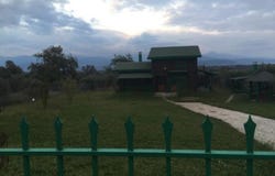 Ypati, Ypati, Thessaly and Central Greece 350 16