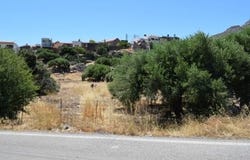 Elounda, Kríti