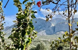 Lasithi, Kríti