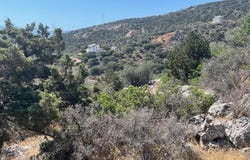 Ammoudara, Crete 72100