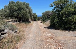 Epano Elounda, Crete 72100