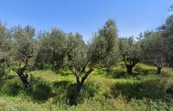 Lithakia, Ionian Islands 29092