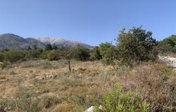 Kalyves, Crete 73003