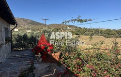 Μαρκάτι, Attica 34195