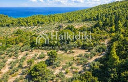 Vourvourou, Central Macedonia 63078
