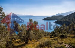 Amaliapoli (N.Mitzela), Thessaly 37008