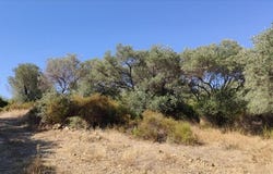 Pyrgadikia, Central Macedonia 63078