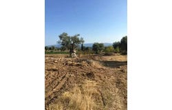 Magoula, Central Greece 34008