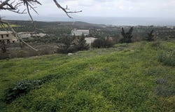 Crete 71500