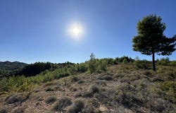 Lefkes, Central Macedonia 63085
