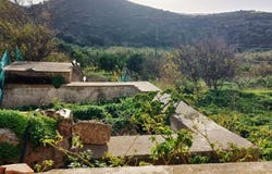 Palaikastro, Crete
