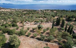 Skinaria, Ionian Islands 29091