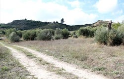 Polychrono, Central Macedonia 63085