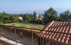 Kalamos, Rest of Attica 19014