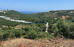 Chania, Kríti 731 00
