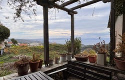 Milies, Thessaly 37010