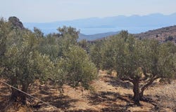 Elounda, Crete 72053