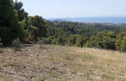 Sithonia, Chalkidiki 60388