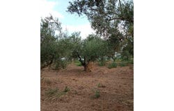 Vlachopoulo, Vlachopoulo, Peloponnese, Western Greece and the Ionian 240 14