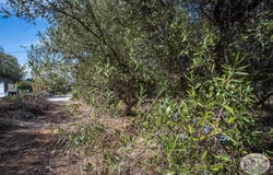 Maleme, Crete 73014