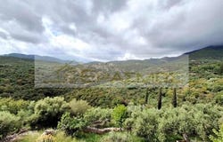 Pedino, Peloponnese 24022