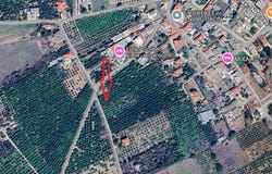 Anifi, Anifi, Peloponnese, Western Greece and the Ionian 210 55