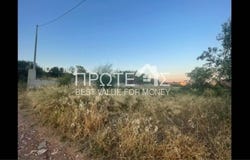 Pikermi, Attica 19009