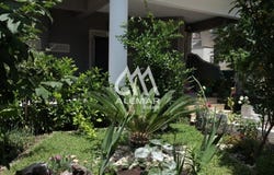 Kallithea, Central Macedonia 63077